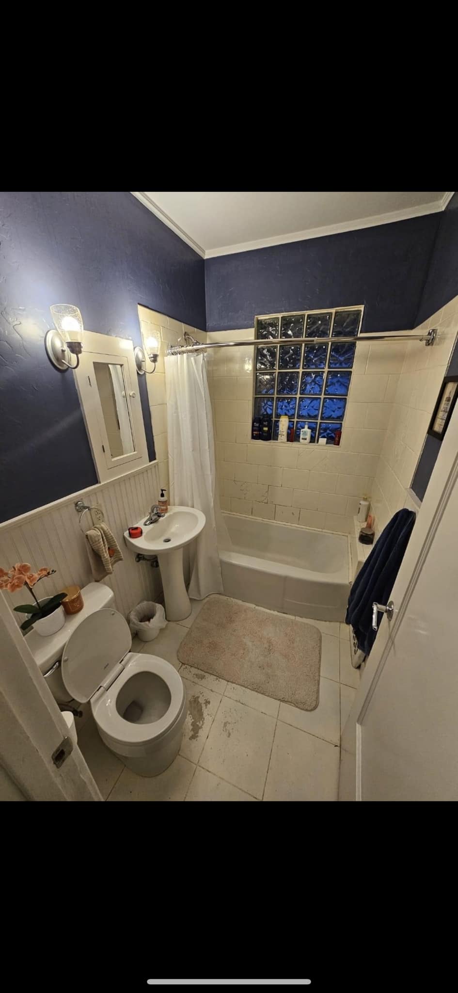 Before bathroom renovation